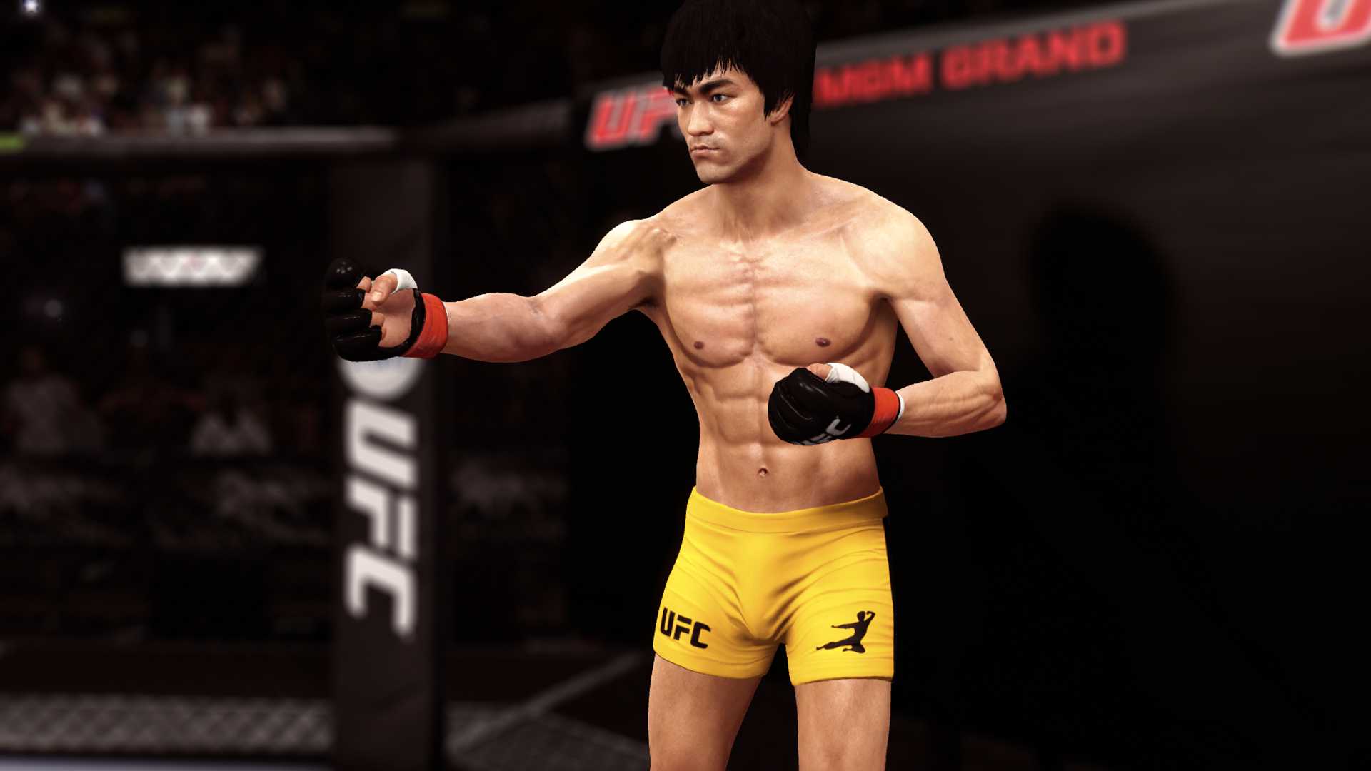 Ли юфс. Брюс ли юфс. Брюс ли юфс 3. Брюс ли UFC 3. UFC 2 Брюс ли.