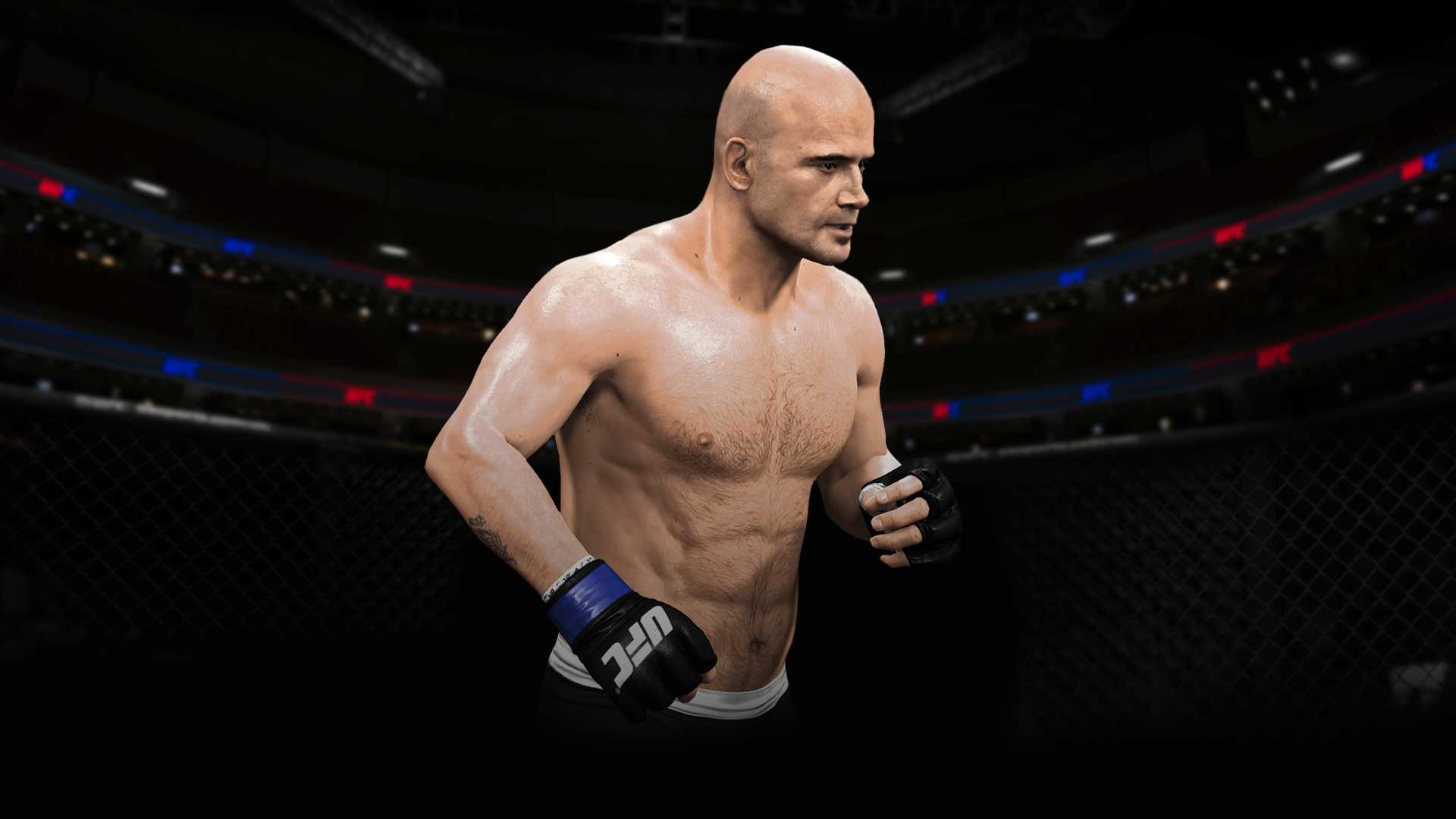 EA Sports UFC 2014