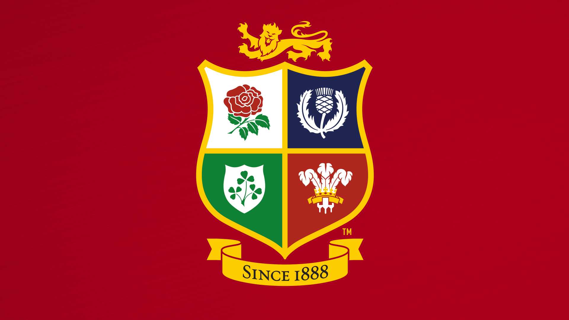 Lions Rugby Background