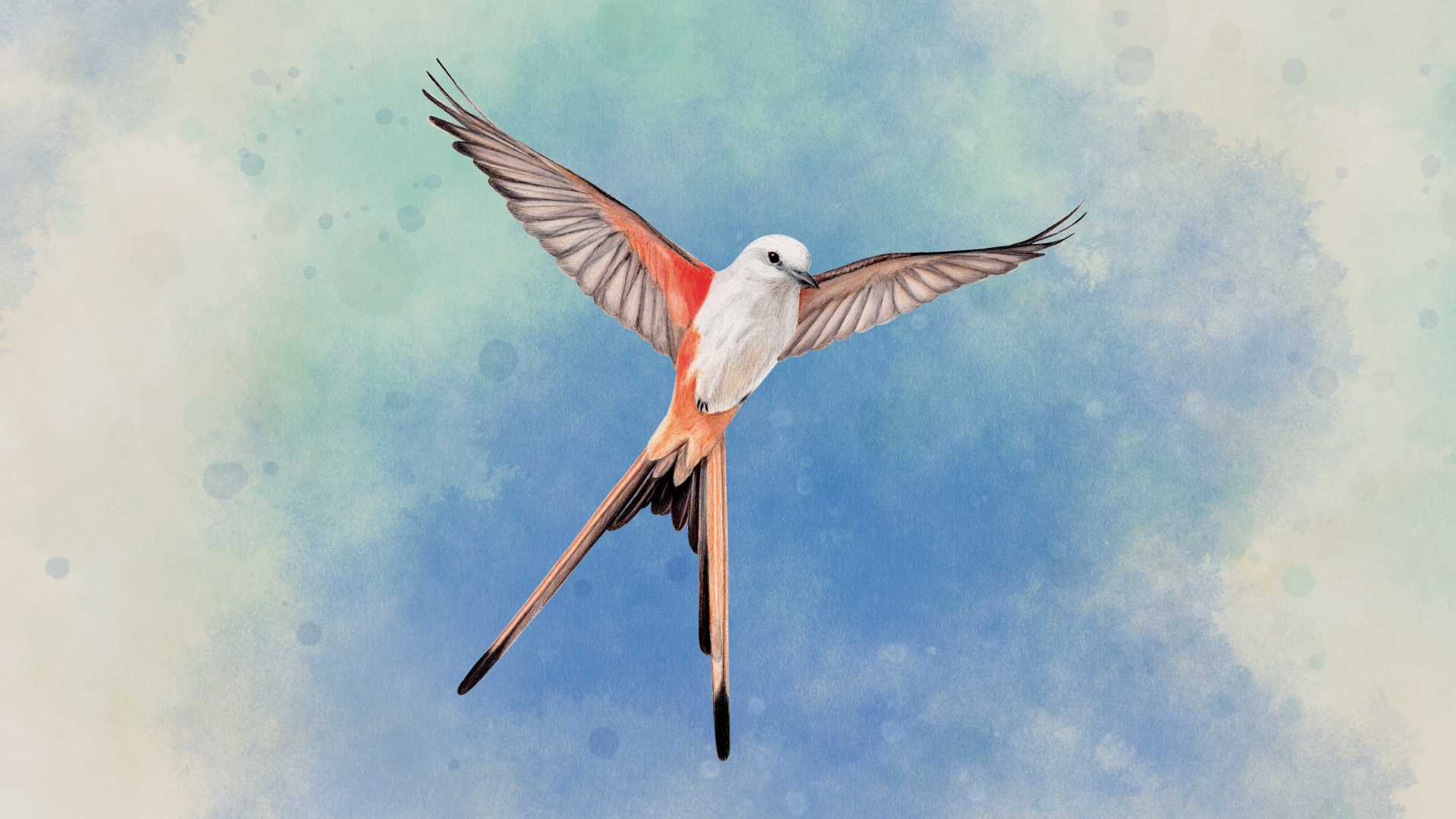 Buy WINGSPAN Xbox Store Checker